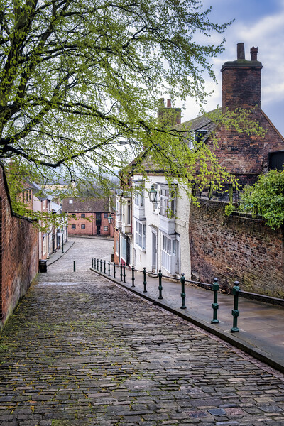 Steep Hill, City of Lincoln Picture Board by Tim Hill