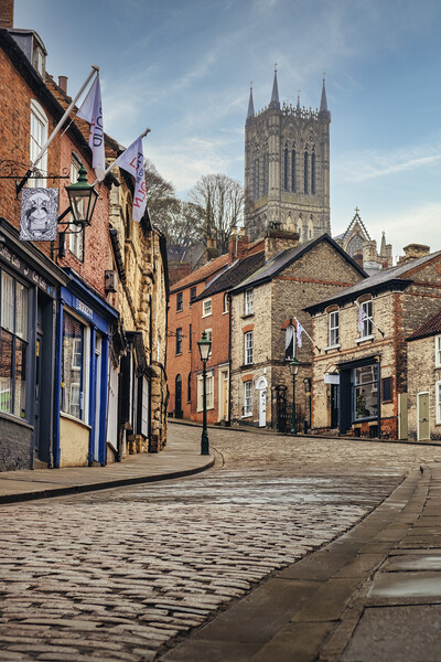 Lincoln Cathedral from Steep Hill Picture Board by Tim Hill