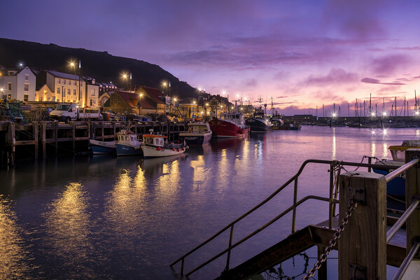 Serene Sunrise in Scarborough Harbour Picture Board by Tim Hill