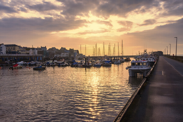 Bridlington Harbour Yorkshire Coast Picture Board by Tim Hill
