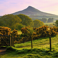 Buy canvas prints of Roseberry Topping: North Yorkshire Gem by Tim Hill