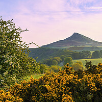 Buy canvas prints of Roseberry Topping: Spring Landscape by Tim Hill