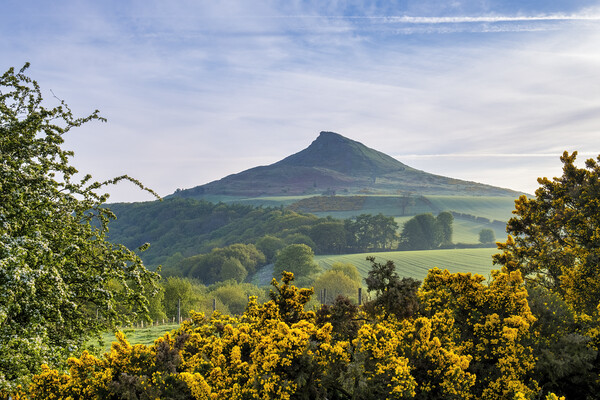 Roseberry Topping: Spring Landscape Picture Board by Tim Hill