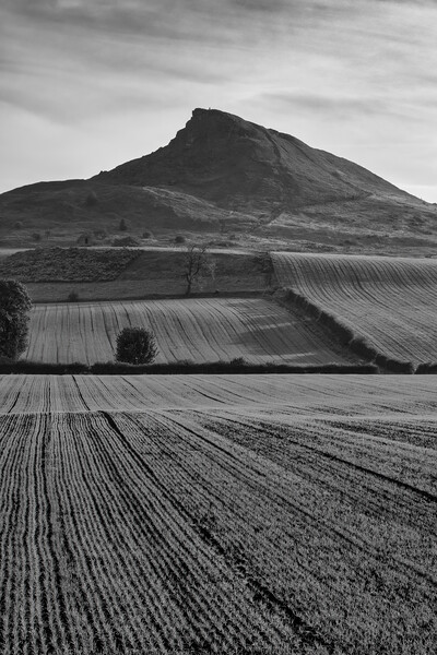 Roseberry Topping Black and White Picture Board by Tim Hill