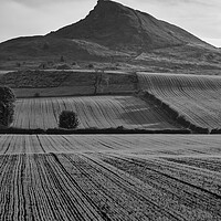 Buy canvas prints of Roseberry Topping Black and White by Tim Hill