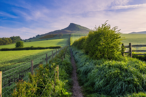 Roseberry Topping: Lush Spring Landscape Picture Board by Tim Hill