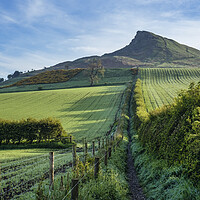 Buy canvas prints of Roseberry Topping: Lush Spring Landscape by Tim Hill