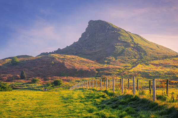 Spring Sunshine on Roseberry Topping Picture Board by Tim Hill