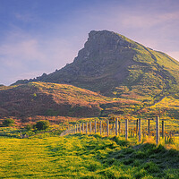 Buy canvas prints of Spring Sunshine on Roseberry Topping by Tim Hill