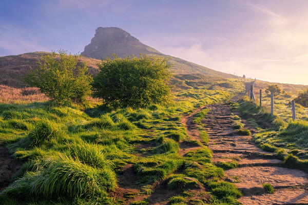Stone Steps Lead to Roseberry Topping Picture Board by Tim Hill