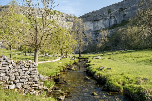 Malham Cove Photography: Yorkshire Dales Picture Board by Tim Hill