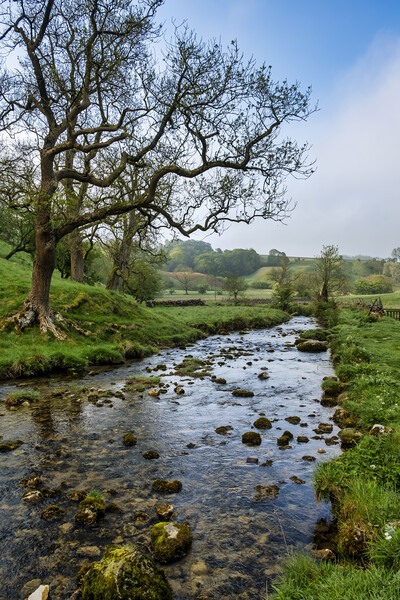 Malham Beck Yorkshire Dales Picture Board by Tim Hill