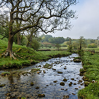 Buy canvas prints of Malham Beck Yorkshire Dales by Tim Hill