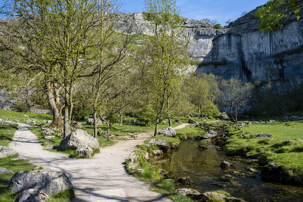 Iconic Malham Cove: Yorkshire Dales Picture Board by Tim Hill