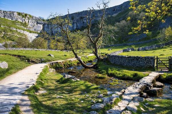 Iconic Yorkshire Dales Landscape: Malham Cove Picture Board by Tim Hill
