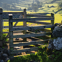 Buy canvas prints of Dry Stone Wall Terraced Hill: Malham by Tim Hill