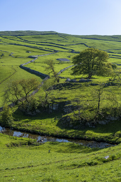 Malham Beck: Rolling Yorkshire Dales Hills Picture Board by Tim Hill