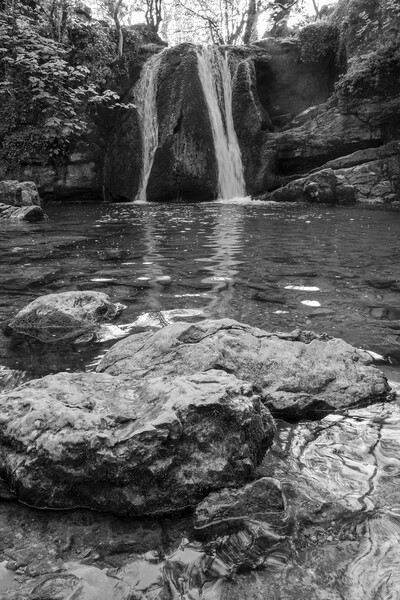 Janet's Foss Black and White Picture Board by Tim Hill