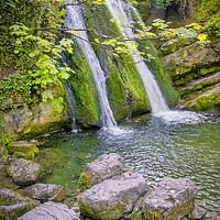 Buy canvas prints of Janet's Foss: Springtime in Malham by Tim Hill