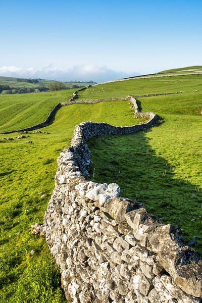 Dry Stone Walls: Malham Yorkshire Dales Picture Board by Tim Hill
