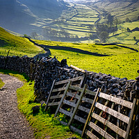 Buy canvas prints of Dry Stone Wall Terrace: Malham Landscape by Tim Hill