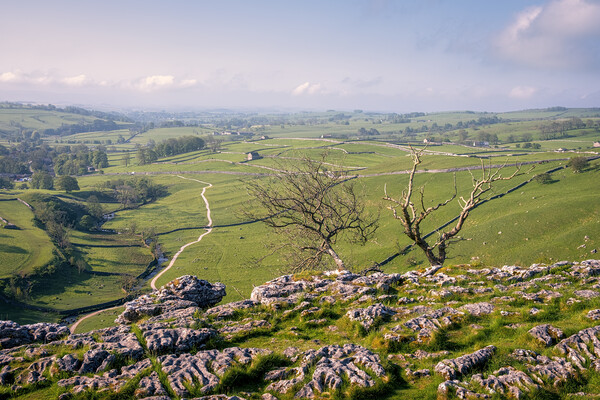 Alive & Dead: Malham Yorkshire Dales Picture Board by Tim Hill