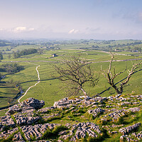 Buy canvas prints of Alive & Dead: Malham Yorkshire Dales by Tim Hill