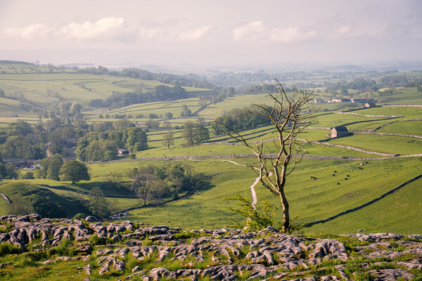 Malham Cove Landscape Yorkshire Dales Picture Board by Tim Hill