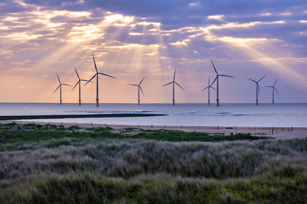 Redcar Wind Farm: South Gare Sun Rays Picture Board by Tim Hill