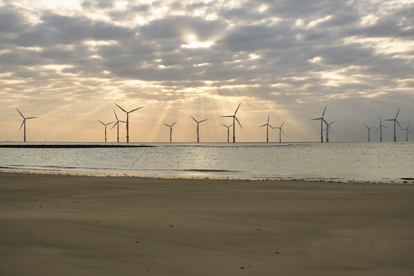 Redcar Wind Farm at South Gare Picture Board by Tim Hill