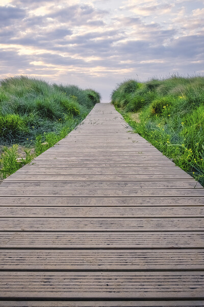 Discovering Redcar: A Boardwalk Adventure Picture Board by Tim Hill