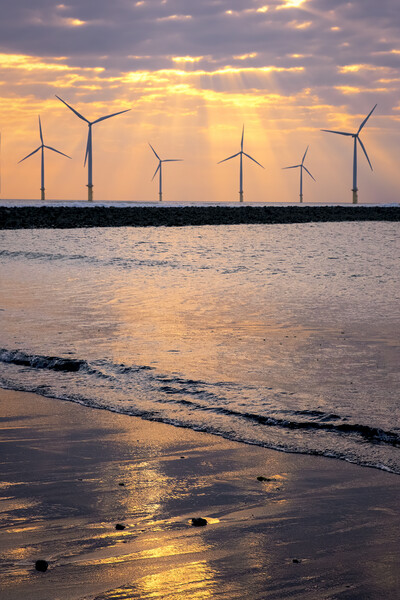 Golden Hour: Redcar Beach South Gare Picture Board by Tim Hill