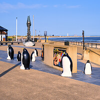 Buy canvas prints of Redcar Esplanade Penguins Yorkshire Coast by Tim Hill