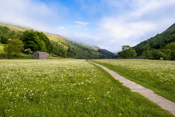 Into the Blue: Muker Wildflower Meadows Picture Board by Tim Hill