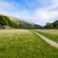 Buy canvas prints of Into the Blue: Muker Wildflower Meadows by Tim Hill