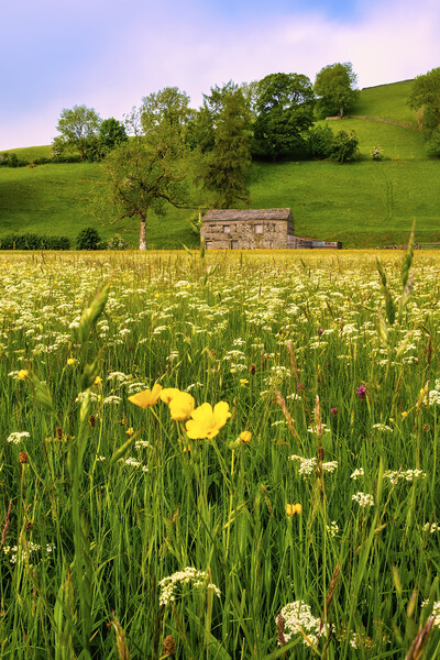 Summer Memories: Muker Wildflower Meadow Picture Board by Tim Hill