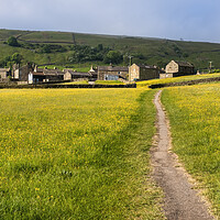 Buy canvas prints of Muker Village and Stunning Buttercup Meadows by Tim Hill
