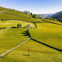 Buy canvas prints of Muker Buttercup Meadows: Yorkshire Dales Hillside by Tim Hill