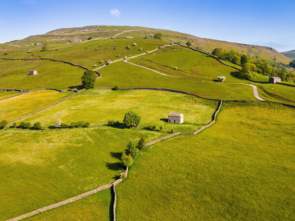 Muker Buttercup Meadows: Yorkshire Dales Hillside Picture Board by Tim Hill