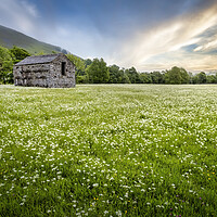 Buy canvas prints of Muker Wildflower Meadows Swaledale by Tim Hill