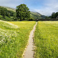 Buy canvas prints of Muker Wildflower Meadows, Upper Swaledale by Tim Hill