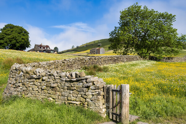 New and Old: Muker Wildflower Meadows Picture Board by Tim Hill