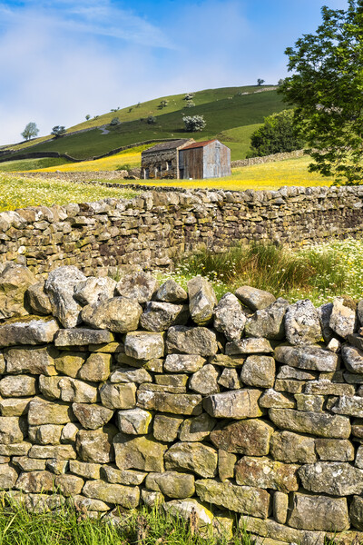 Yorkshire Dales Drystone Walls: Muker, Swaledale Picture Board by Tim Hill