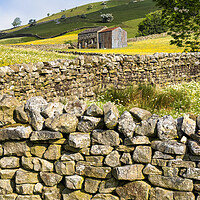 Buy canvas prints of Yorkshire Dales Drystone Walls: Muker, Swaledale by Tim Hill