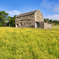 Buy canvas prints of Stone Barn: Muker Wildflower Meadows by Tim Hill