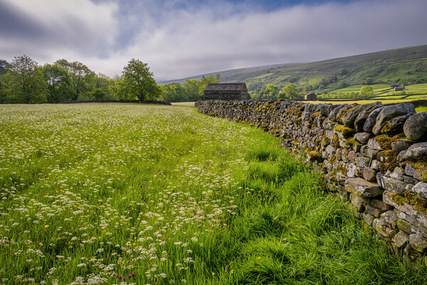 Muker Wildflower Meadows Picture Board by Tim Hill