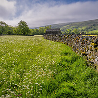 Buy canvas prints of Muker Wildflower Meadows by Tim Hill