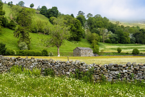 Stone Cattle and Sheep Barn Swaledale Picture Board by Tim Hill