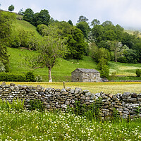Buy canvas prints of Stone Cattle and Sheep Barn Swaledale by Tim Hill