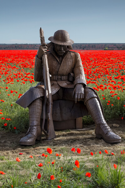 Tommy World War 1 Soldier: Seaham Picture Board by Tim Hill